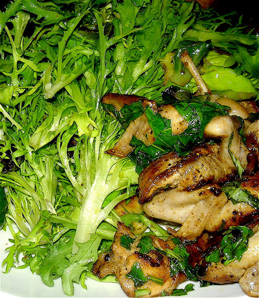 When balsamic caramel is paired with basil, as in this stir-fried quail dish, the combination is especially delicious. Here I’ve used sturdy frisée as the base for this salad, which loses much of its bitterness when wilted under the heat of the quail. Once in the pan, the quail takes no more than five minutes to cook making this elegant salad of wilted greens, goat cheese, toasted pine nuts and orange segments simple and easy to prepare. Enjoy! // www.simonrockett.com 香脂焦糖配上罗勒,就像这道鹌鹑炒菜一样,搭配起来特别美味。这里我用了结实的frisée作为沙拉的底料,在鹌鹑的高温下枯萎后,它的苦味就消失了很多。一旦放入锅中,鹌鹑的烹饪时间不超过五分钟,这道优雅的沙拉由枯萎的绿色蔬菜、山羊奶酪、烤松子和橘子片组成,制作简单易行。享受吧!/ / www.simonrockett.com