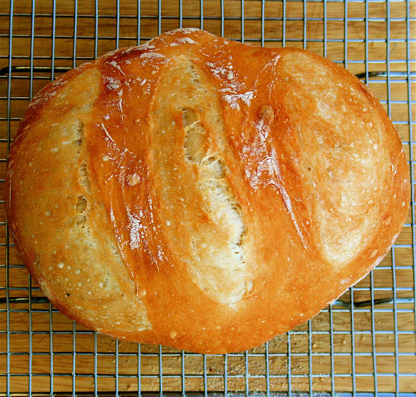 Preparing this artisan bread is so simple that I made bread on both Saturday and Sunday nights of this weekend, and I still have enough starter to prepare two more loaves this week. The starter keeps for at least two weeks in the refrigerator and the result of this simple recipe is satisfying and delicious. // www.simonrockett.com 制作这种手工面包非常简单,所以我在这个周末的周六和周日晚上都做了面包,这周我还有足够的开胃菜来准备两个面包。开胃菜可以在冰箱里保存至少两周,这个简单的食谱的结果是令人满意和美味的。/ / www.simonrockett.com