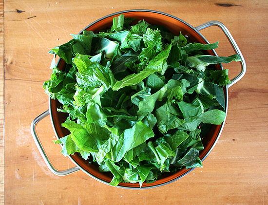 greenscollander greenscollander