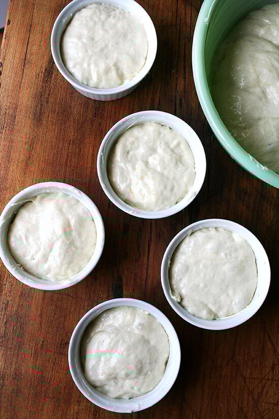 dough, rising 面团,