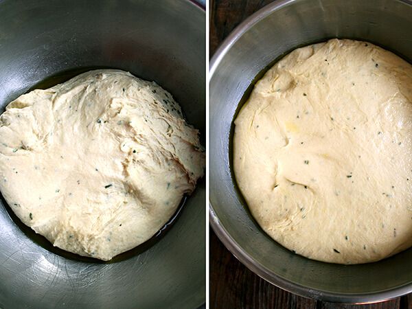 dough, just mixed (left) and risen (right) 面团,混合(左)和上升(右)