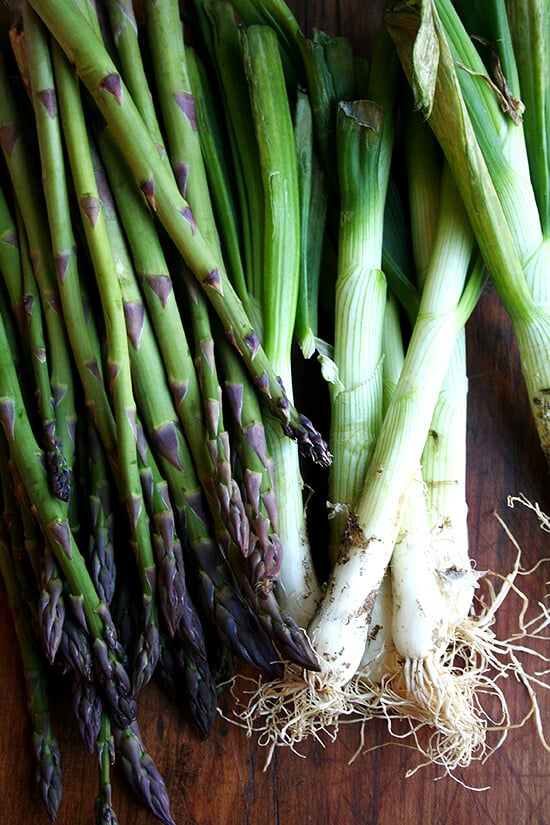 asparagus & spring onions asparagus & spring onions