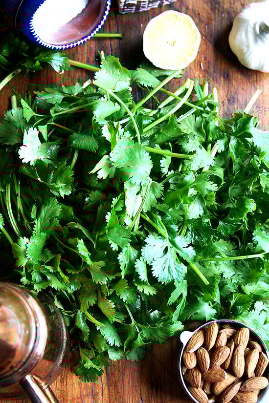 cilantro pesto ingredients 成分为香蒜沙司酱板:香菜、橄榄油、杏仁、柠檬、大蒜、盐、帕尔玛。