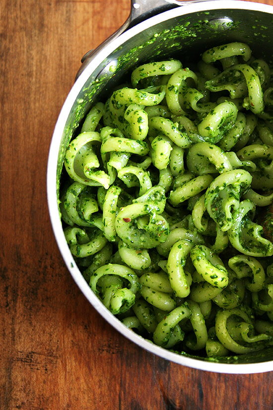This pesto pasta can be made with anything. All you really need is a bunch of herbs, a handful of nuts and some sort of hard salty cheese. While nothing perhaps marries quite as well as basil, pine nuts and parmesan, variations made with with other cilantro and parsley, walnuts and almonds, and Pecorino and Grana do the job quite nicely. // www.simonrockett.com 一壶装满了意大利面和香蒜酱。