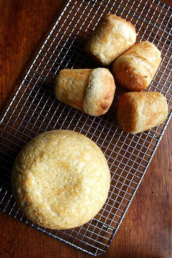 面包和迷你面包