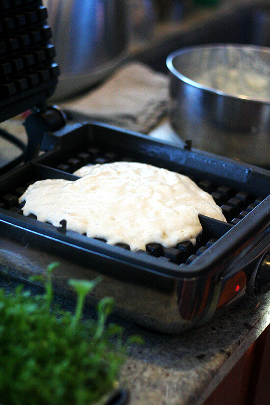 华夫饼干的面糊