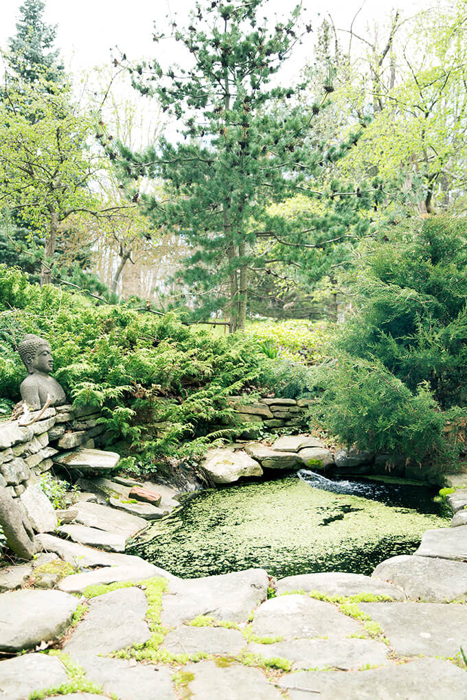 玛格丽特·罗奇的池塘