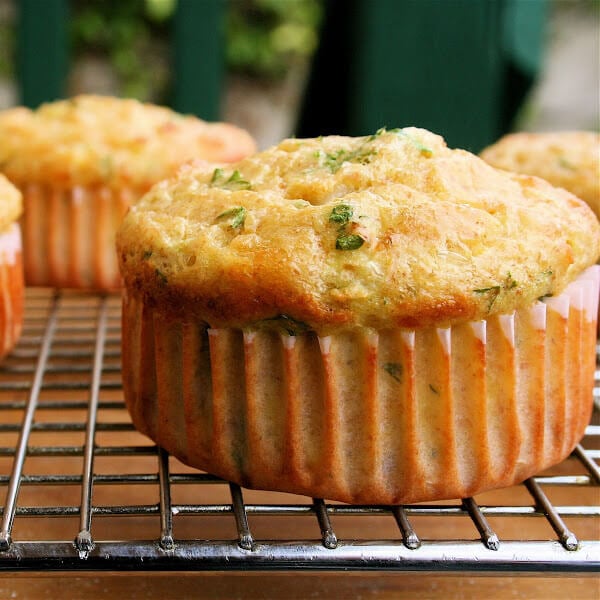 These cottage cheese muffins are fun. Unlike any muffin I've ever tasted. Textured like a cross between a souffle and a quiche. Savory. Can be flavored in any way: with ham, bacon, herbs, peppers, spinach, whatever. A nice, portable breakfast especially for those who eat on the run. // www.simonrockett.com 这些奶酪松饼是有趣的。与任何我尝到过松饼。纹理像蛋奶酥和乳蛋饼。好吃的。可以调味以任何方式:火腿、培根、草药、辣椒、菠菜等等。一个便携式特别是对于那些早餐吃。/ / www.simonrockett.com