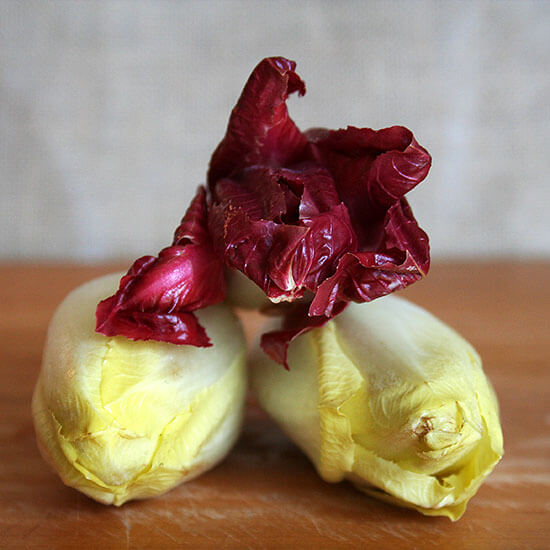 endive 菊苣
