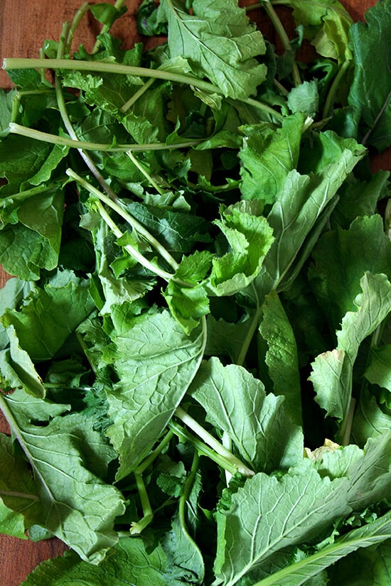 mustard greens from Olin-Fox Farms CSA 从Olin-Fox农场CSA芥菜