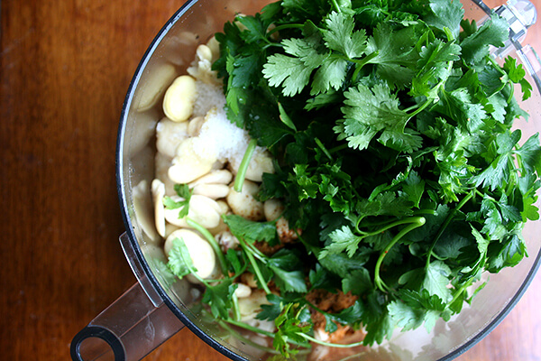 falafel ingredients in cuisinart 在跨入沙拉三明治的原料