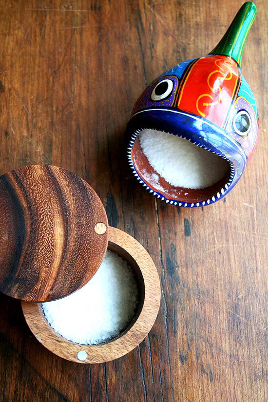 鱼先生欢迎他的新朋友