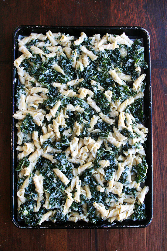 Baked pasta gratin on a sheet pan maximizes the crispness effect. The ratio of crunchy topping to creamy center increases, making sure there's plenty of the best part of the gratin for every one. // www.simonrockett.com 一个架空的un-baked焗烤意大利面和甘蓝烤盘。