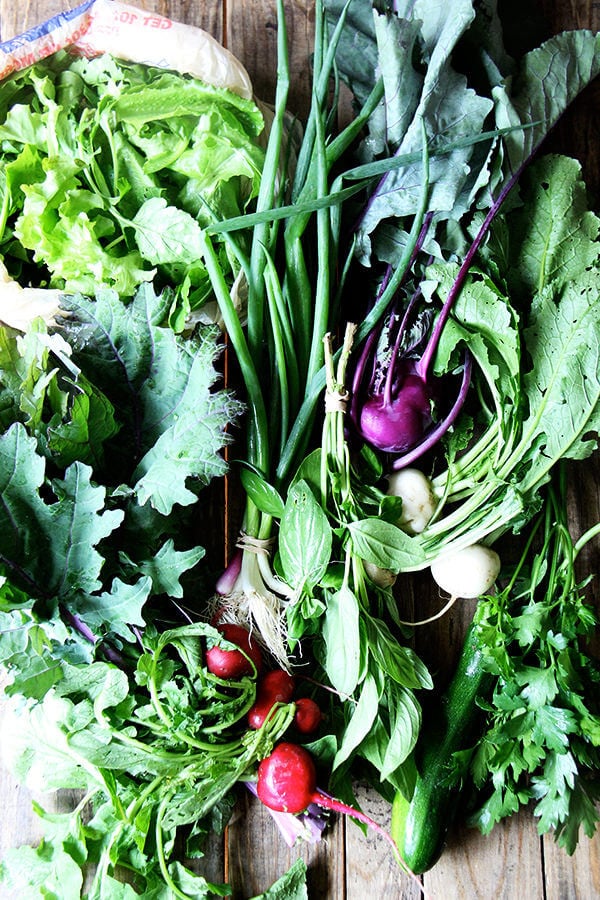 农场里的CSA, Week1