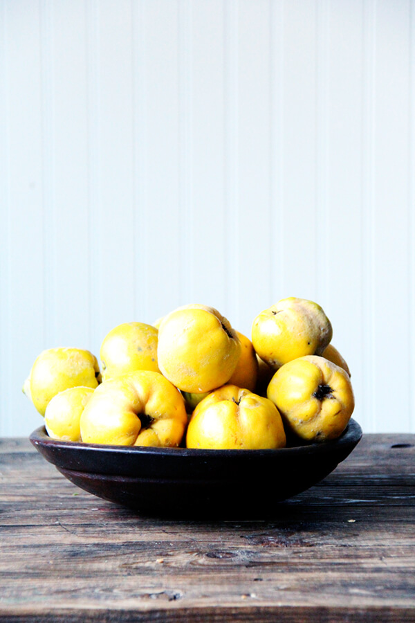 If I were to host Thanksgiving, I would serve a few of these dishes, including butternut squash lasagna, potato gratin, no-knead thyme dinner rolls, red wine cranberry sauce, and sheetpan stuffing. Yum. // www.simonrockett.com 如果我是举办感恩节,我将其中的几个菜,包括冬南瓜烤宽面条、土豆奶油烤菜,免揉百里香小面包、红酒蔓越莓酱,sheetpan填料。百胜。/ / www.simonrockett.com