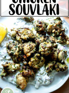 用酸奶黄瓜鸡肉烤肉串在盘子里。