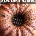 刚出炉的苹果酱酸奶蛋糕。