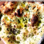 带皮的草本大饼。