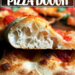 刚烤完玛格丽特披萨。