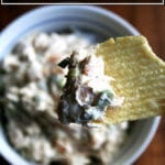 一碗真正的酸奶油和洋葱薯片有褶饰。