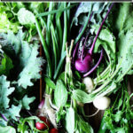 一桌子的CSA蔬菜。