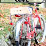 一个馅饼盒蹦到了一辆自行车上。