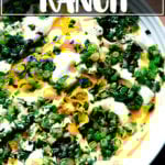 一碗自制牧场蘸酱加希腊酸奶。