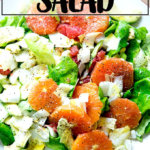 盘子上放着菊苣、葡萄柚和鳄梨沙拉，最后撒上帕尔马干酪屑。