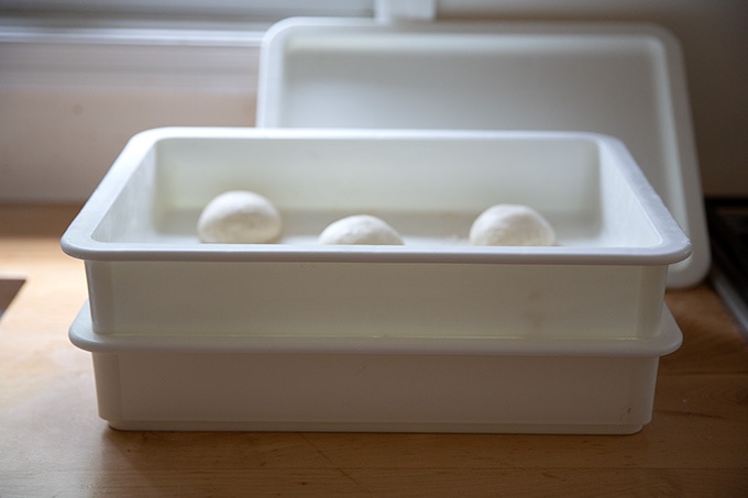 面团伴侣集装箱控股椒盐卷饼面团滚球。