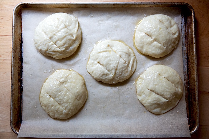 5个未成熟的椒盐卷饼卷在一个平底锅。