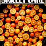 在一个锅金橘。