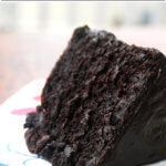 一片最好的双重巧克力蛋糕。