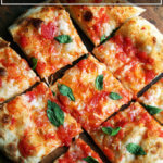 玛格丽塔披萨烤了烤钢切成碎片。