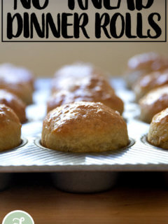 刚刚烤松饼锡百里香面包卷。